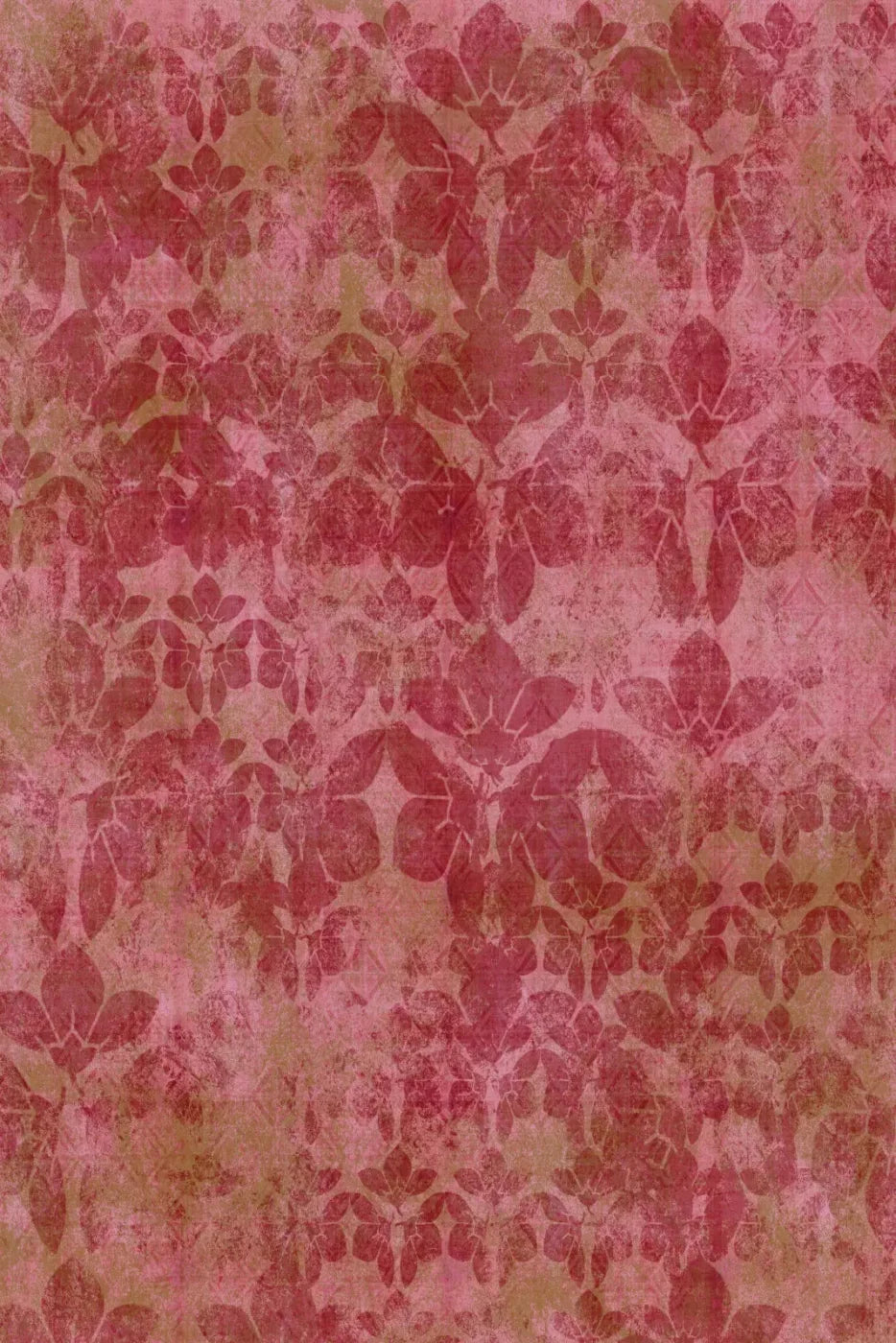 Sandra Backdrop