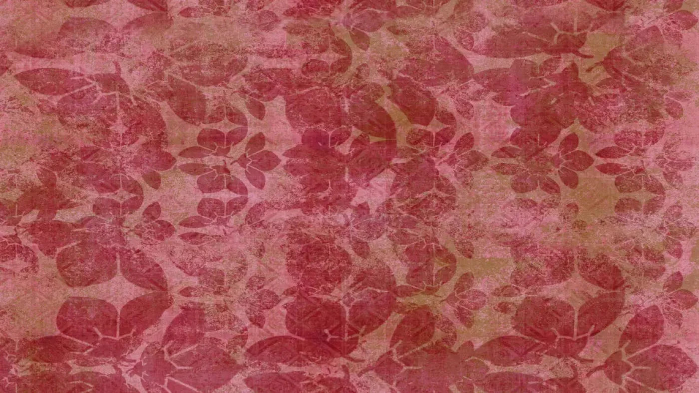 Sandra2 14X8 Ultracloth ( 168 X 96 Inch ) Backdrop