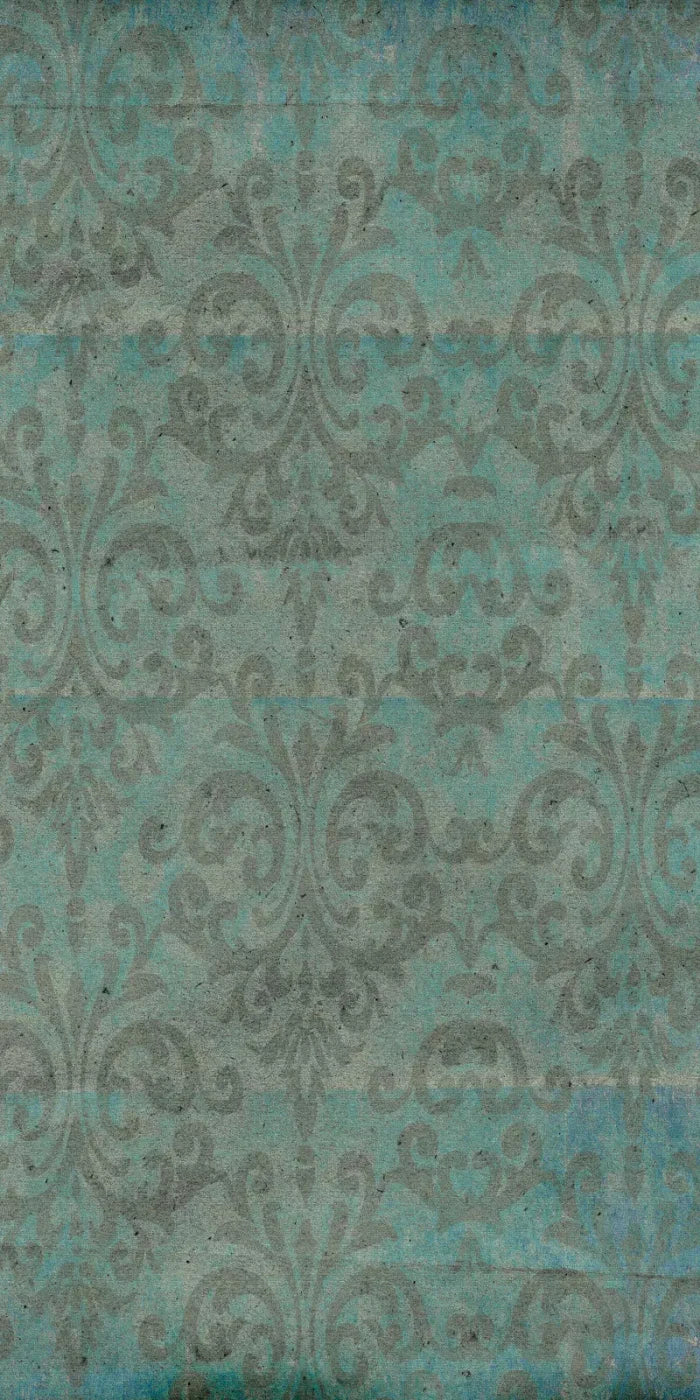 Santiago 10X20 Ultracloth ( 120 X 240 Inch ) Backdrop