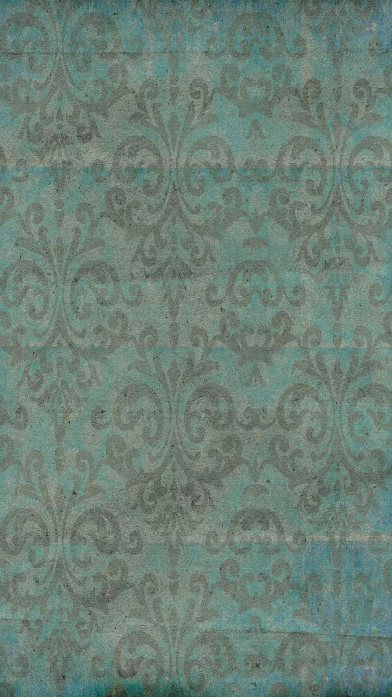 Santiago 8X14 Ultracloth ( 96 X 168 Inch ) Backdrop