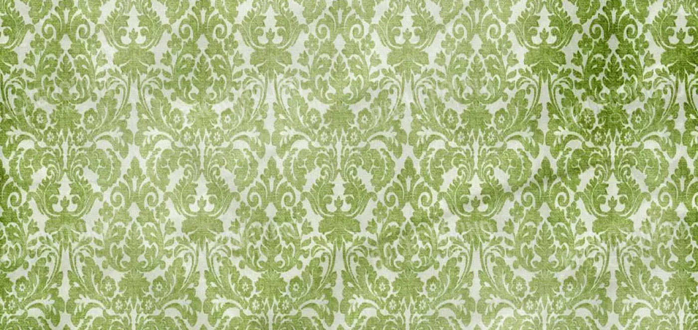 Santos 16X8 Ultracloth ( 192 X 96 Inch ) Backdrop