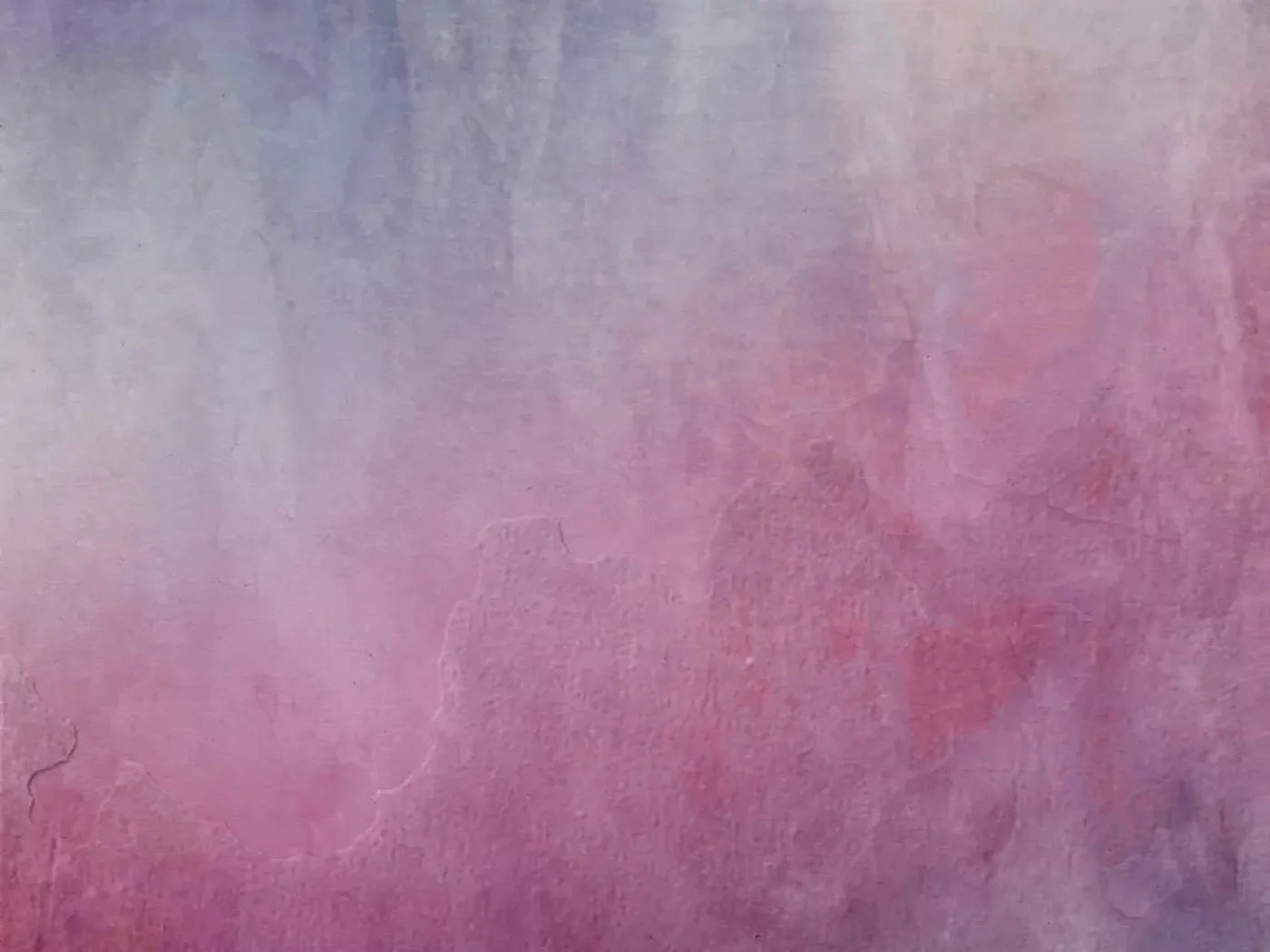 Sassy 10X8 Fleece ( 120 X 96 Inch ) Backdrop