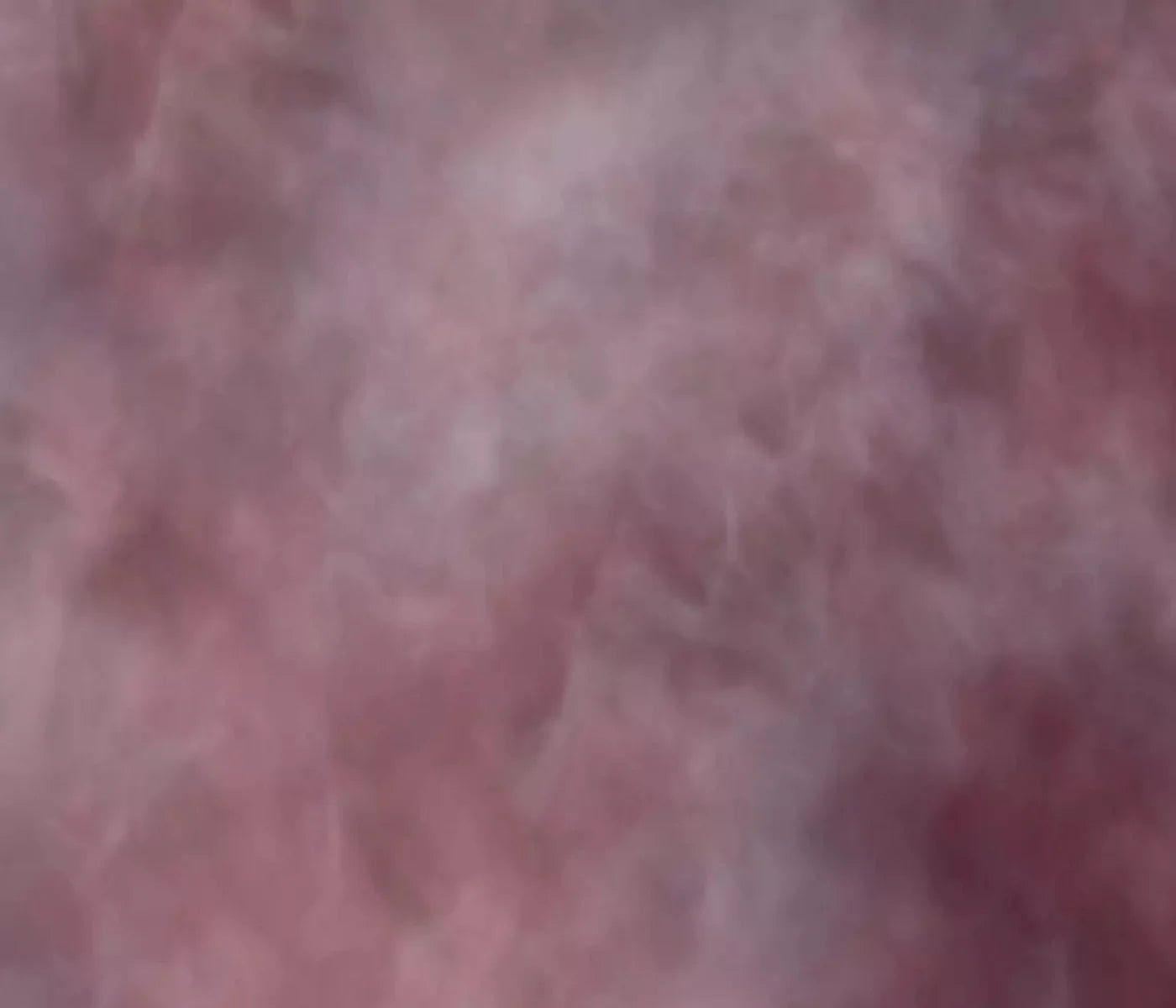 Savant 12X10 Ultracloth ( 144 X 120 Inch ) Backdrop