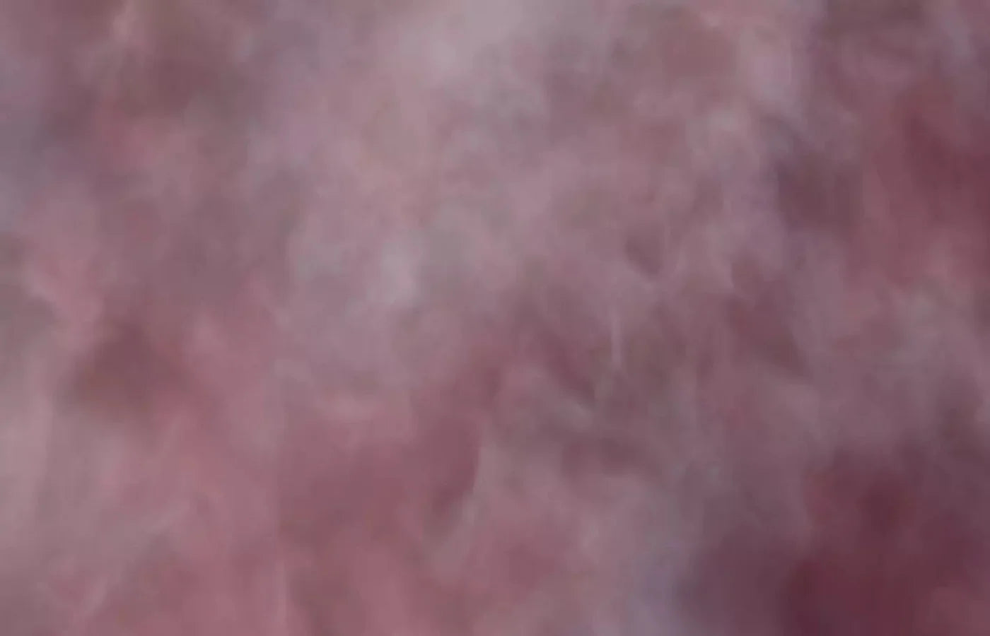 Savant 12X8 Ultracloth ( 144 X 96 Inch ) Backdrop