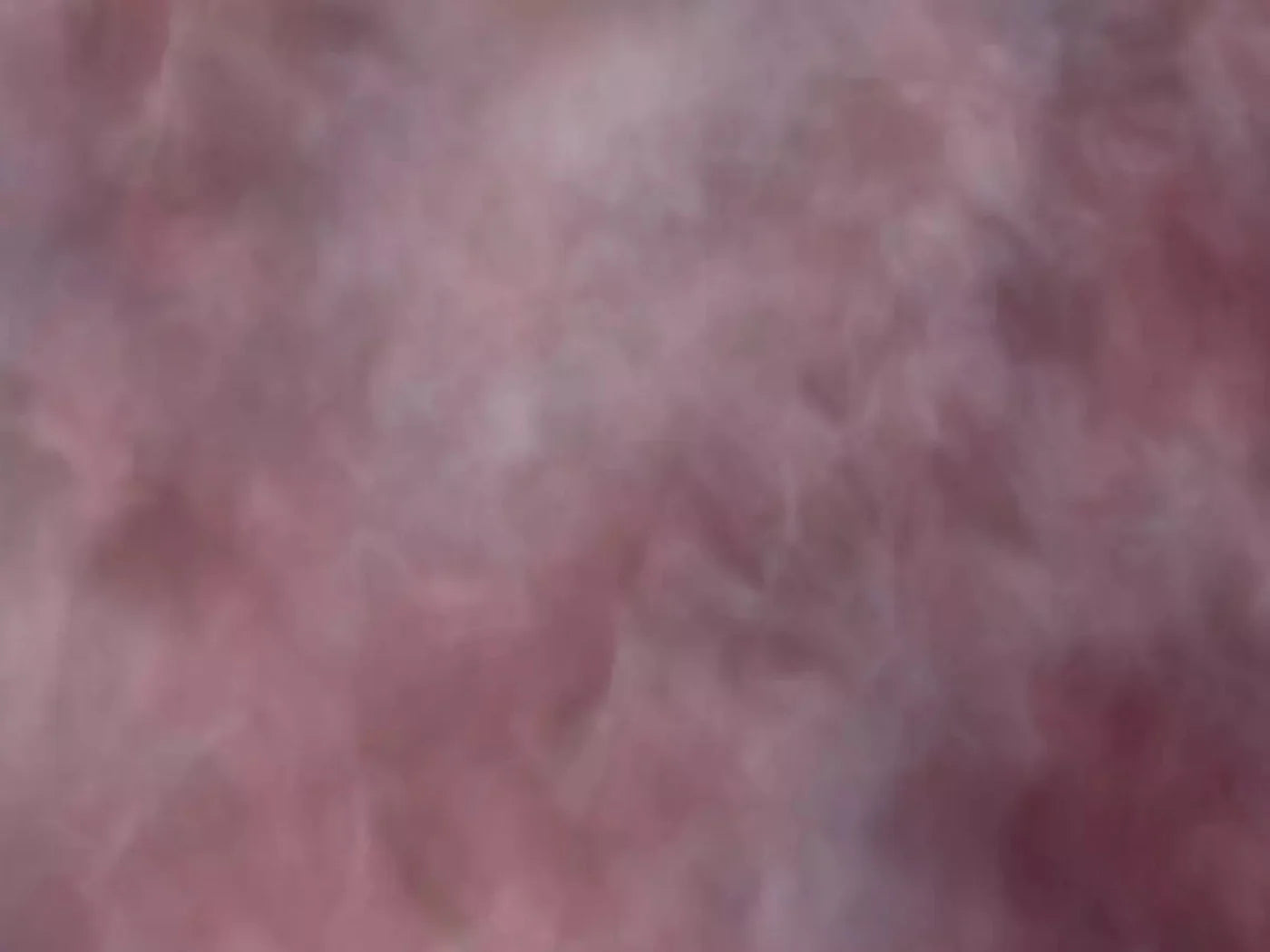 Savant 68X5 Fleece ( 80 X 60 Inch ) Backdrop
