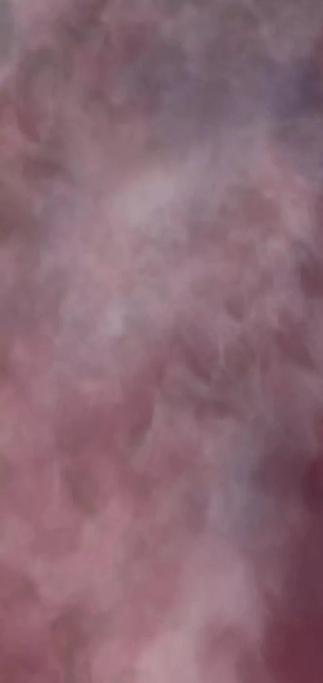Savant 8X16 Ultracloth ( 96 X 192 Inch ) Backdrop