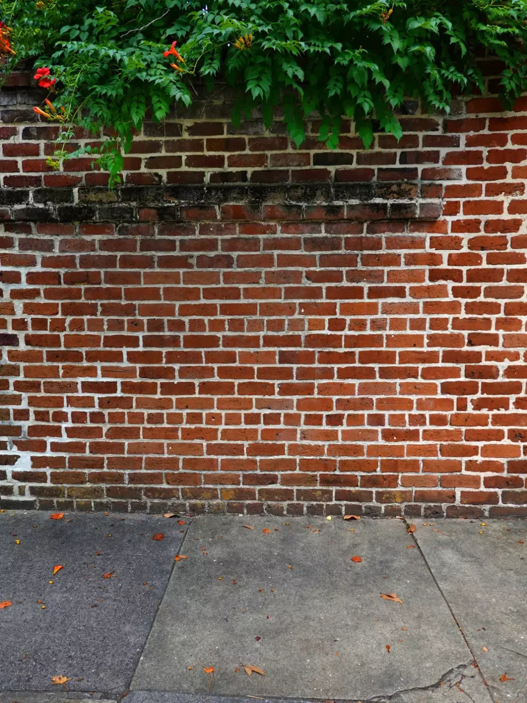 Schoolyard Brick Sweep 5X68 Fleece ( 60 X 80 Inch ) Backdrop