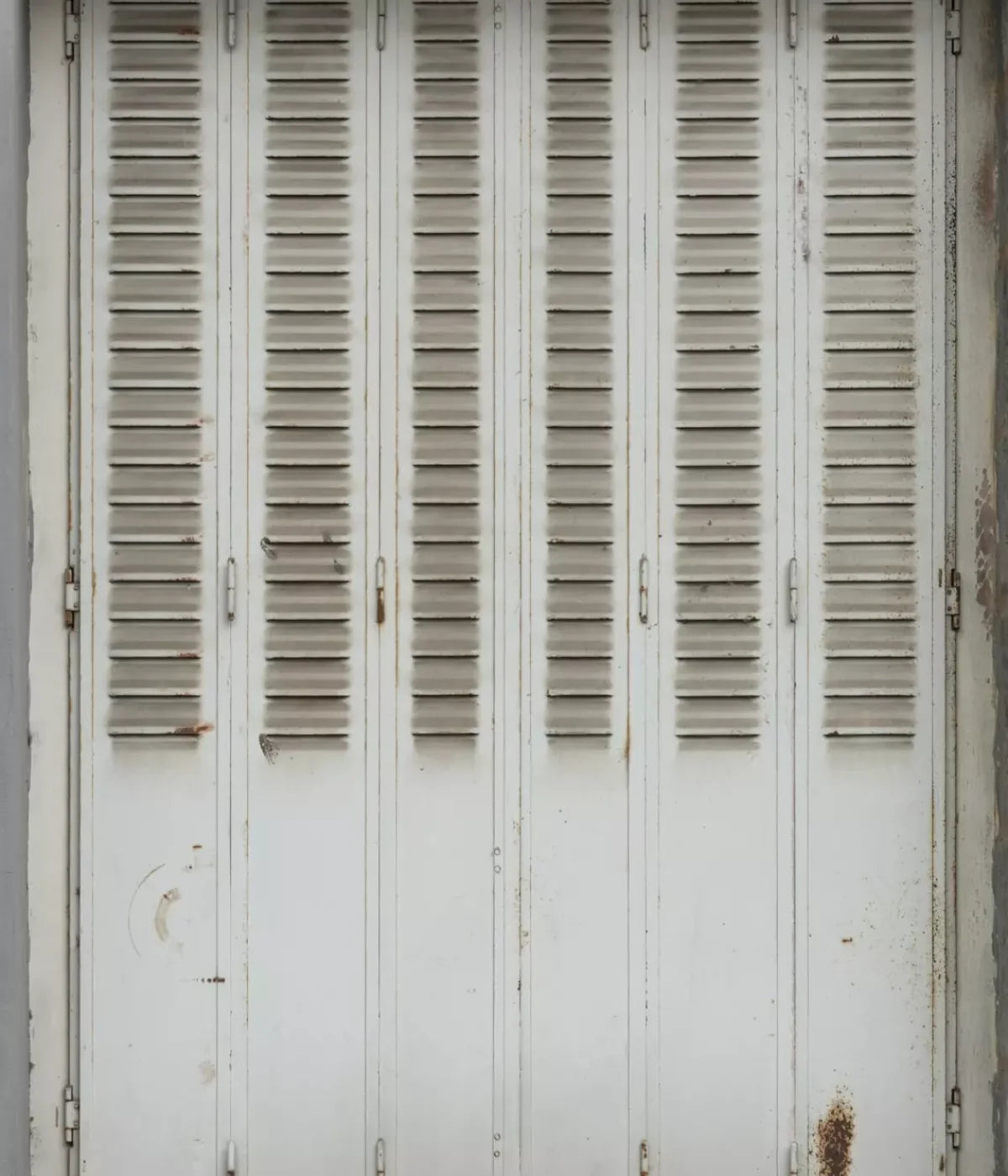 Screened 10X12 Ultracloth ( 120 X 144 Inch ) Backdrop