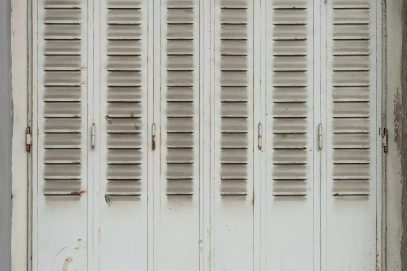 Screened 8X5 Ultracloth ( 96 X 60 Inch ) Backdrop