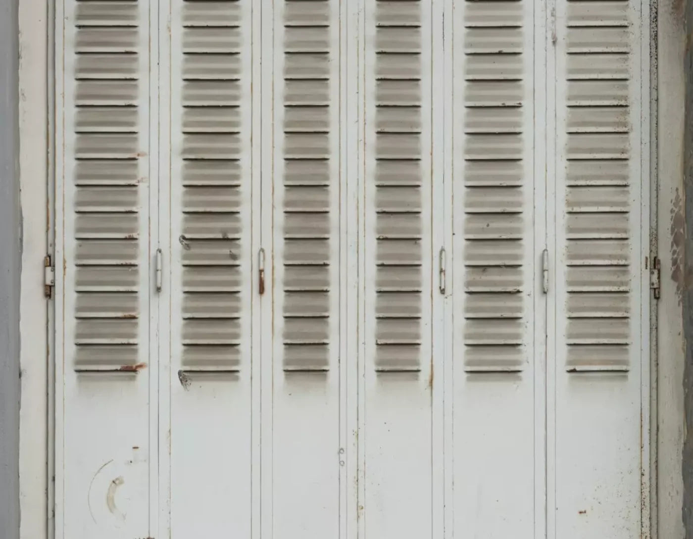 Screened 8X6 Fleece ( 96 X 72 Inch ) Backdrop