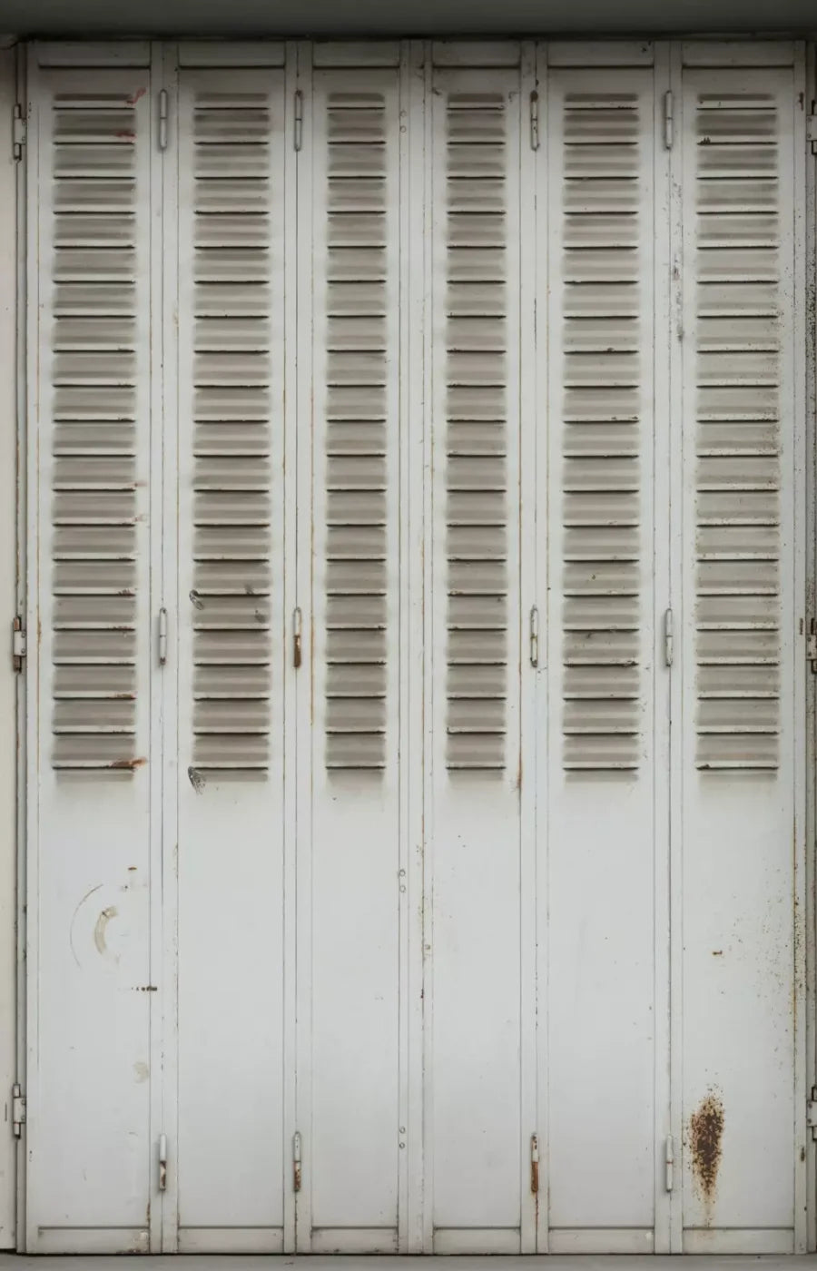 Screened 8X12 Ultracloth ( 96 X 144 Inch ) Backdrop