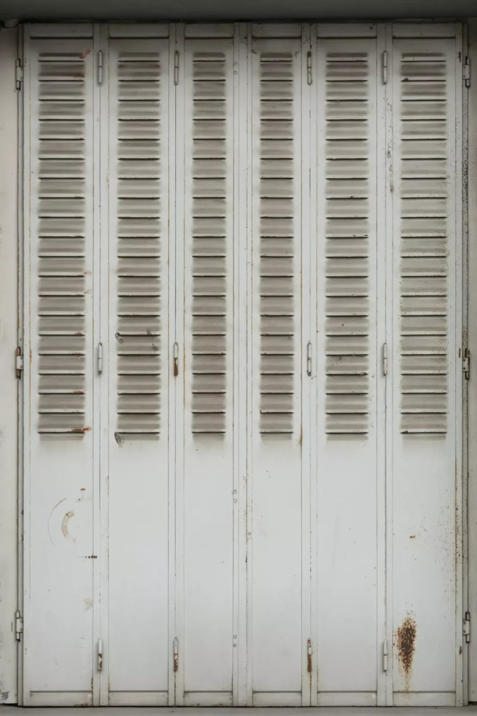 Screened Backdrop