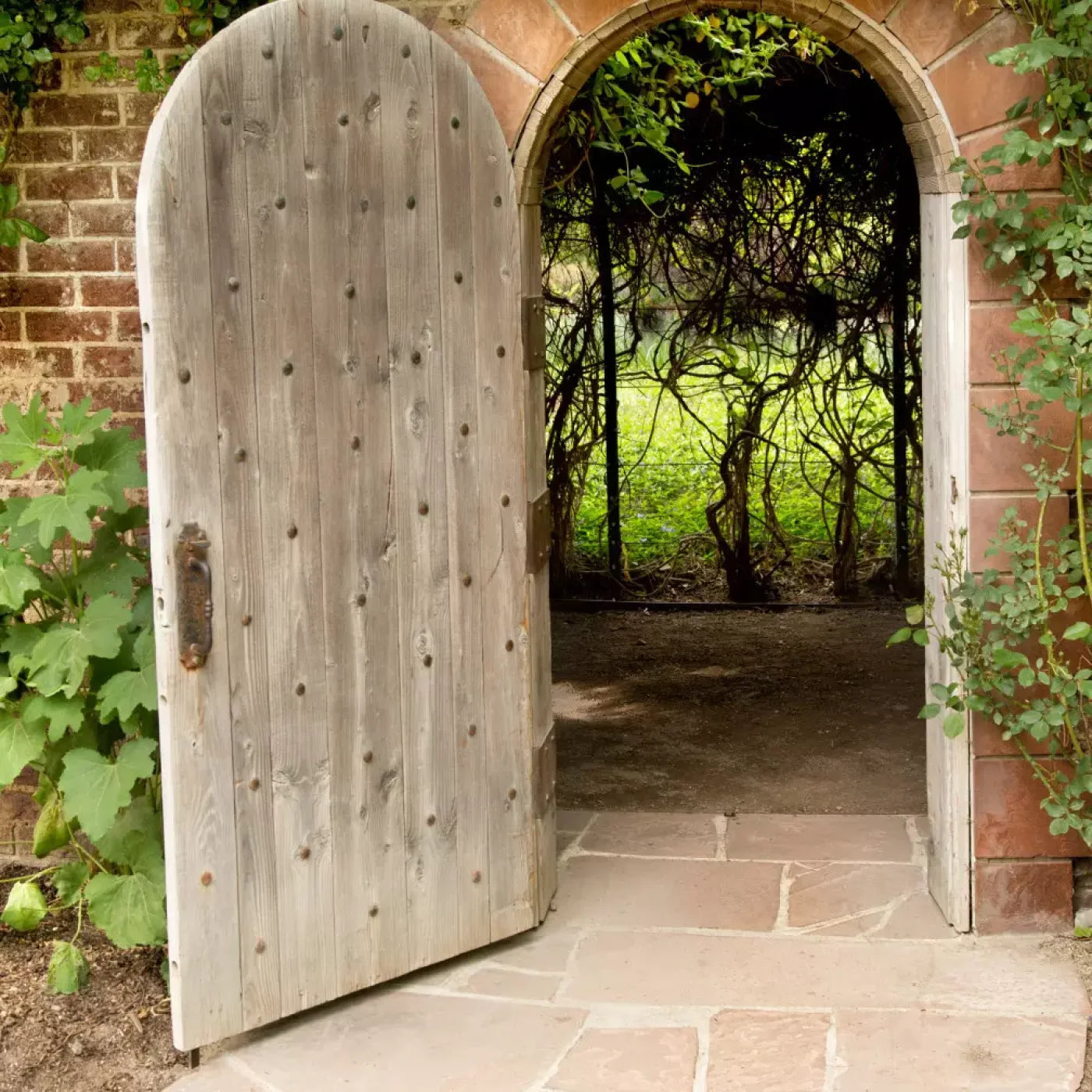 Secret Garden 10X10 Ultracloth ( 120 X Inch ) Backdrop