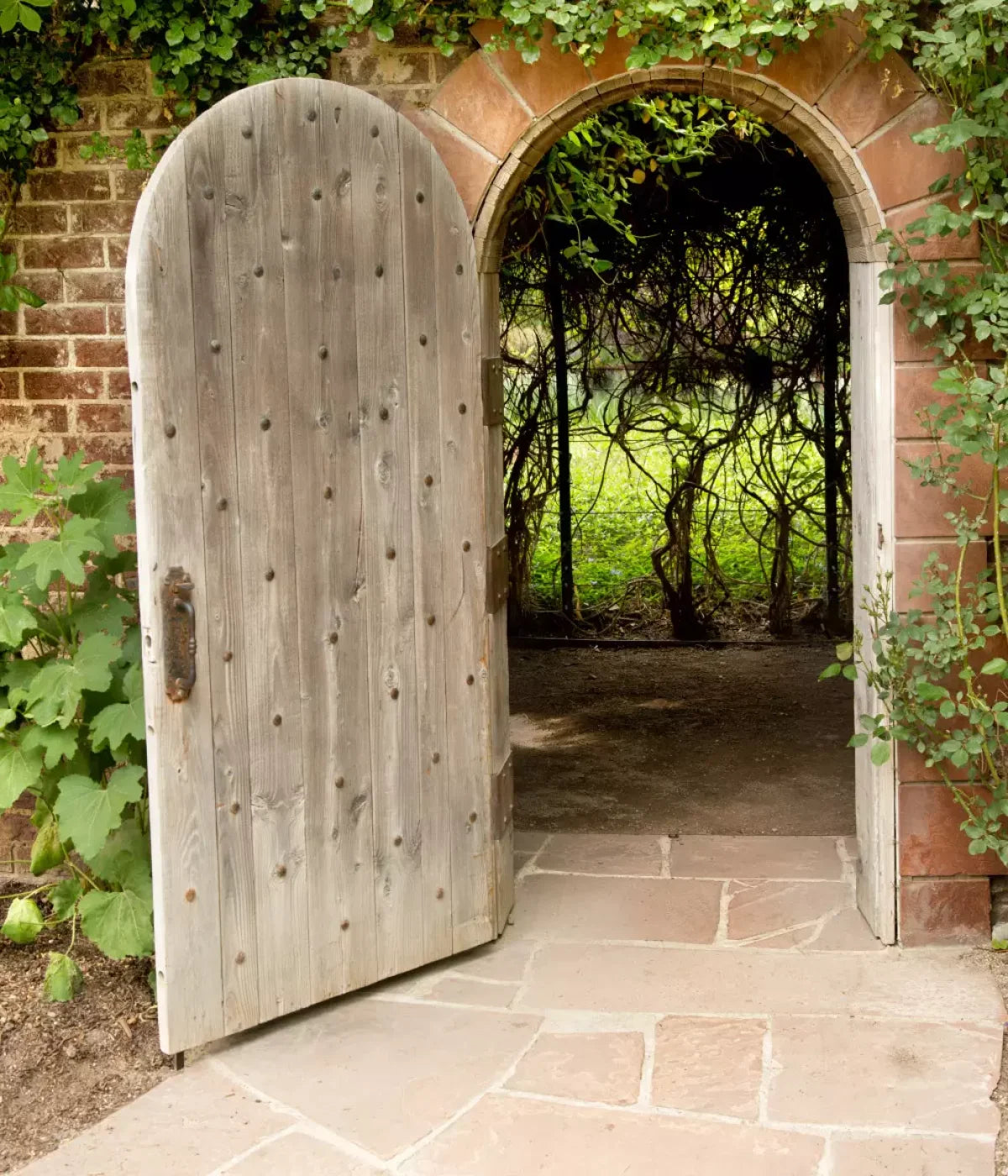 Secret Garden 10X12 Ultracloth ( 120 X 144 Inch ) Backdrop