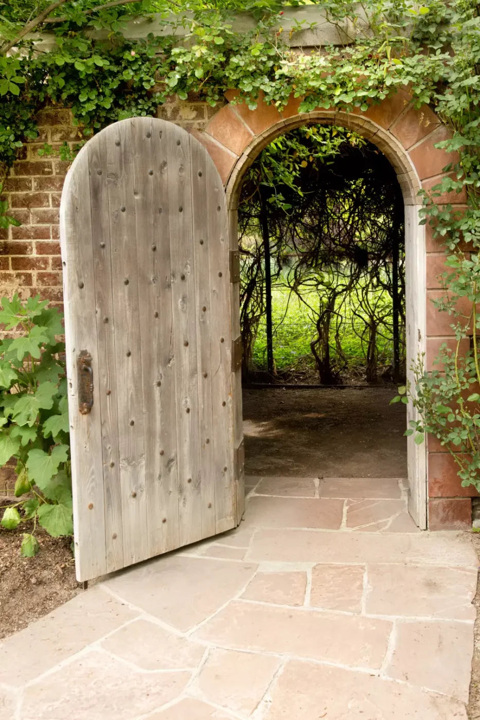 Secret Garden Backdrop