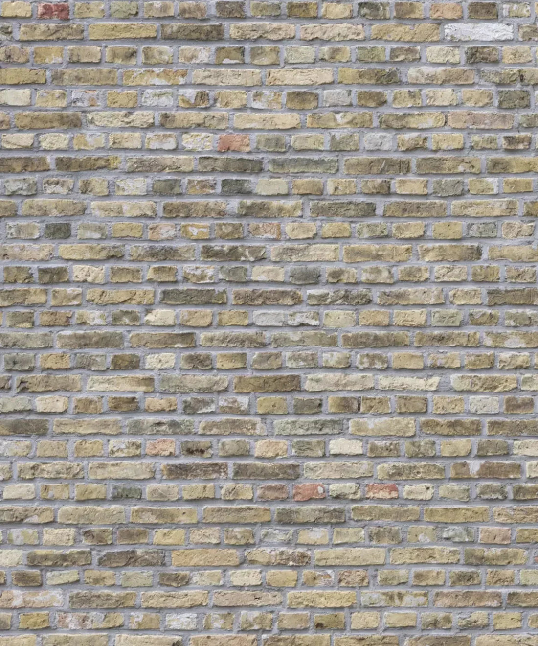 Beige Brick and Stone Backdrop for Photography