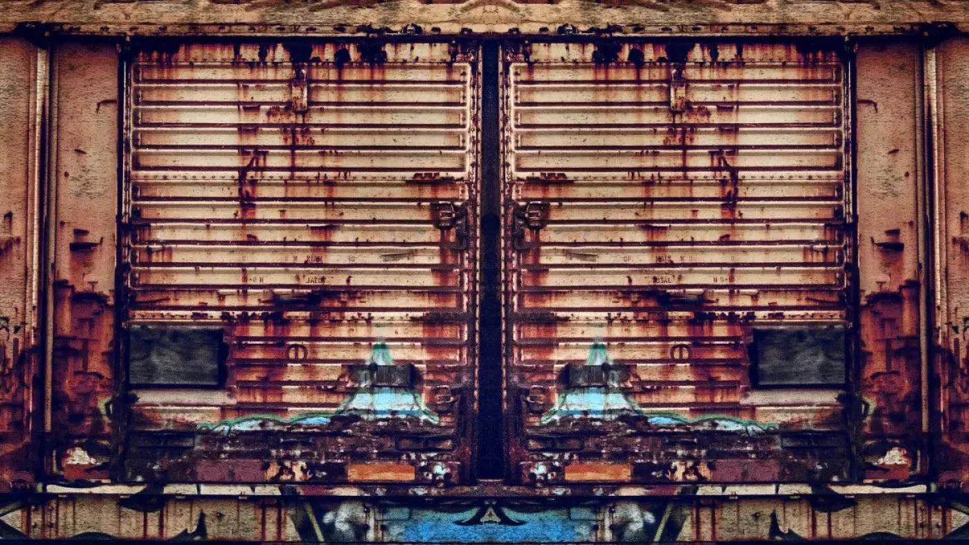 Seeing Double 14X8 Ultracloth ( 168 X 96 Inch ) Backdrop
