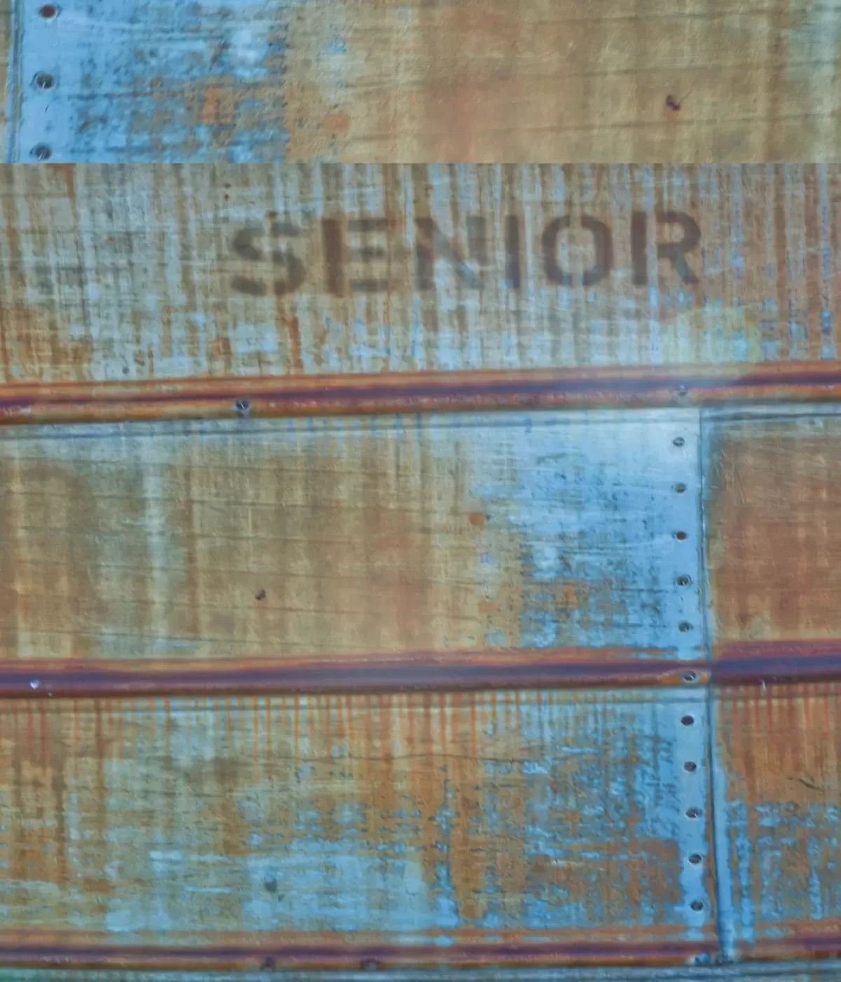 Senior Grunge 10X12 Ultracloth ( 120 X 144 Inch ) Backdrop