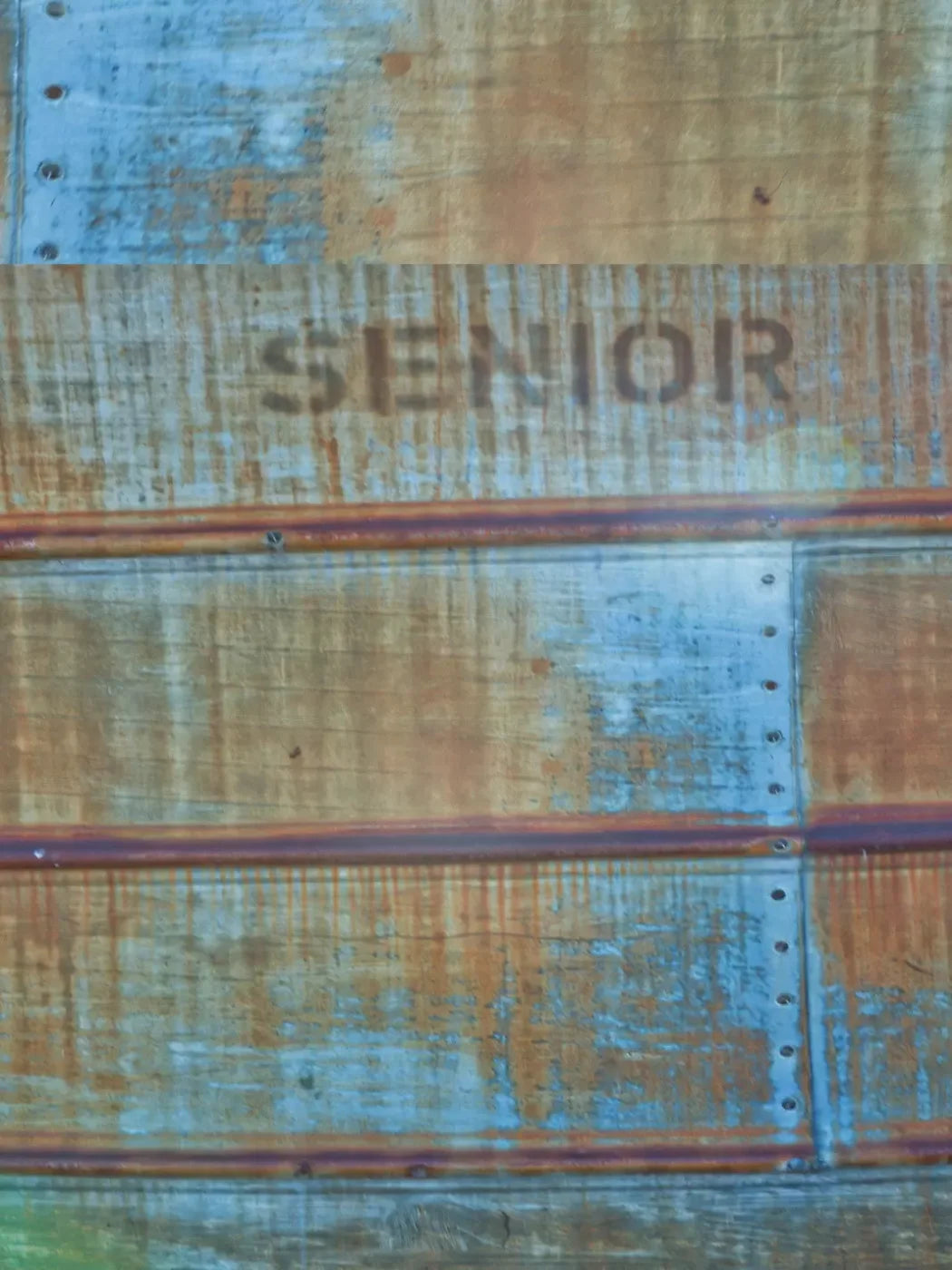 Senior Grunge 5X68 Fleece ( 60 X 80 Inch ) Backdrop