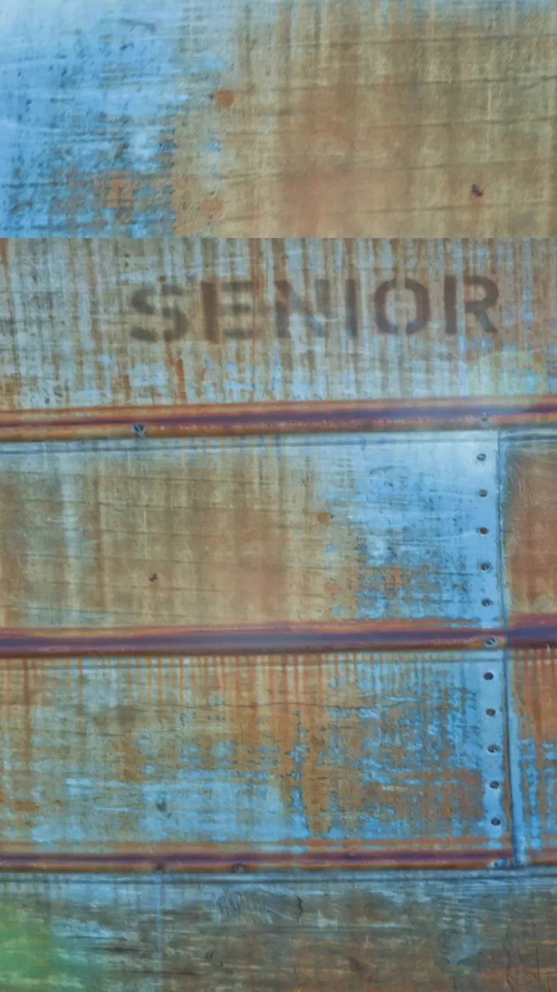 Senior Grunge 8X14 Ultracloth ( 96 X 168 Inch ) Backdrop
