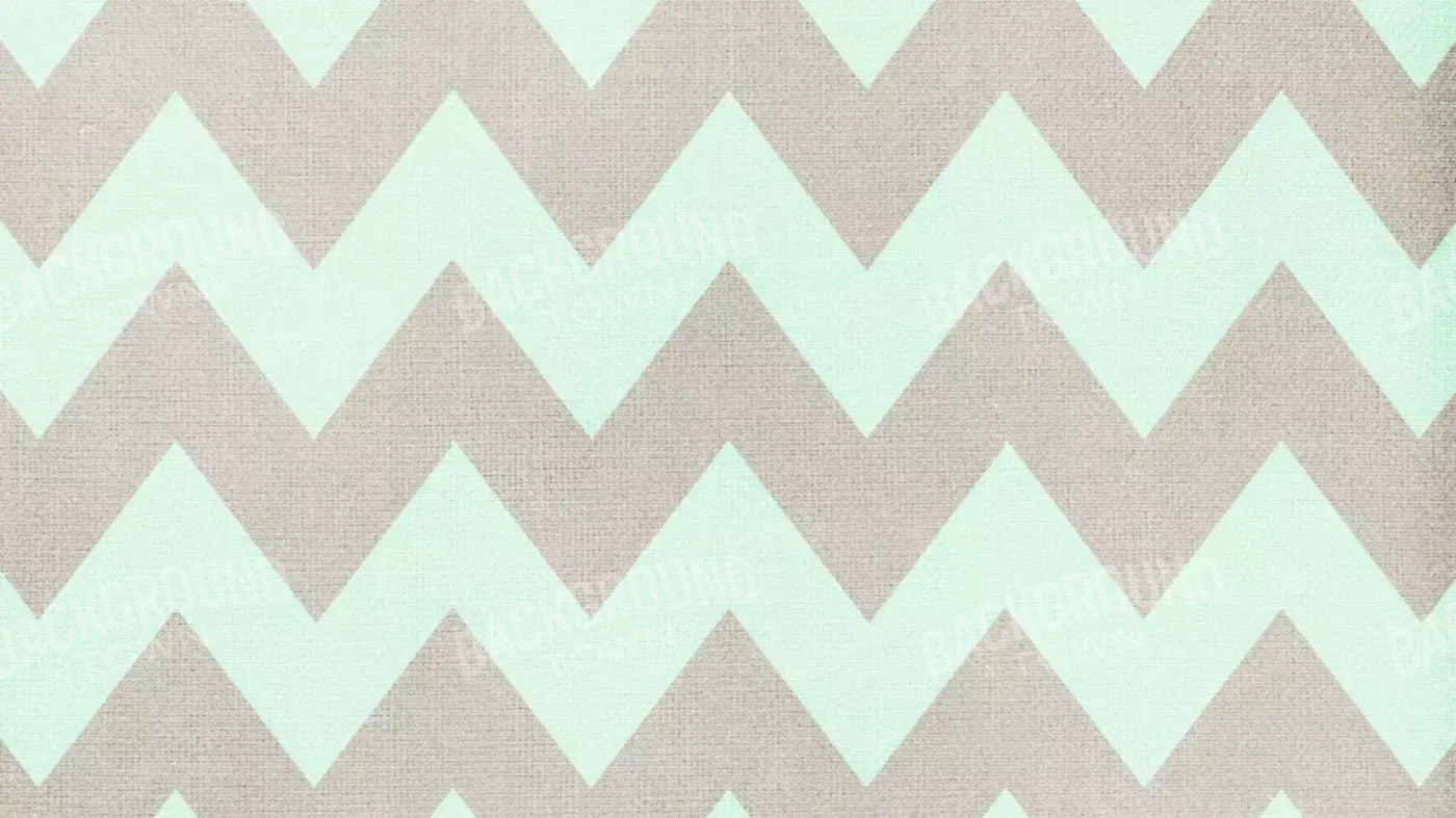 Seth 14X8 Ultracloth ( 168 X 96 Inch ) Backdrop