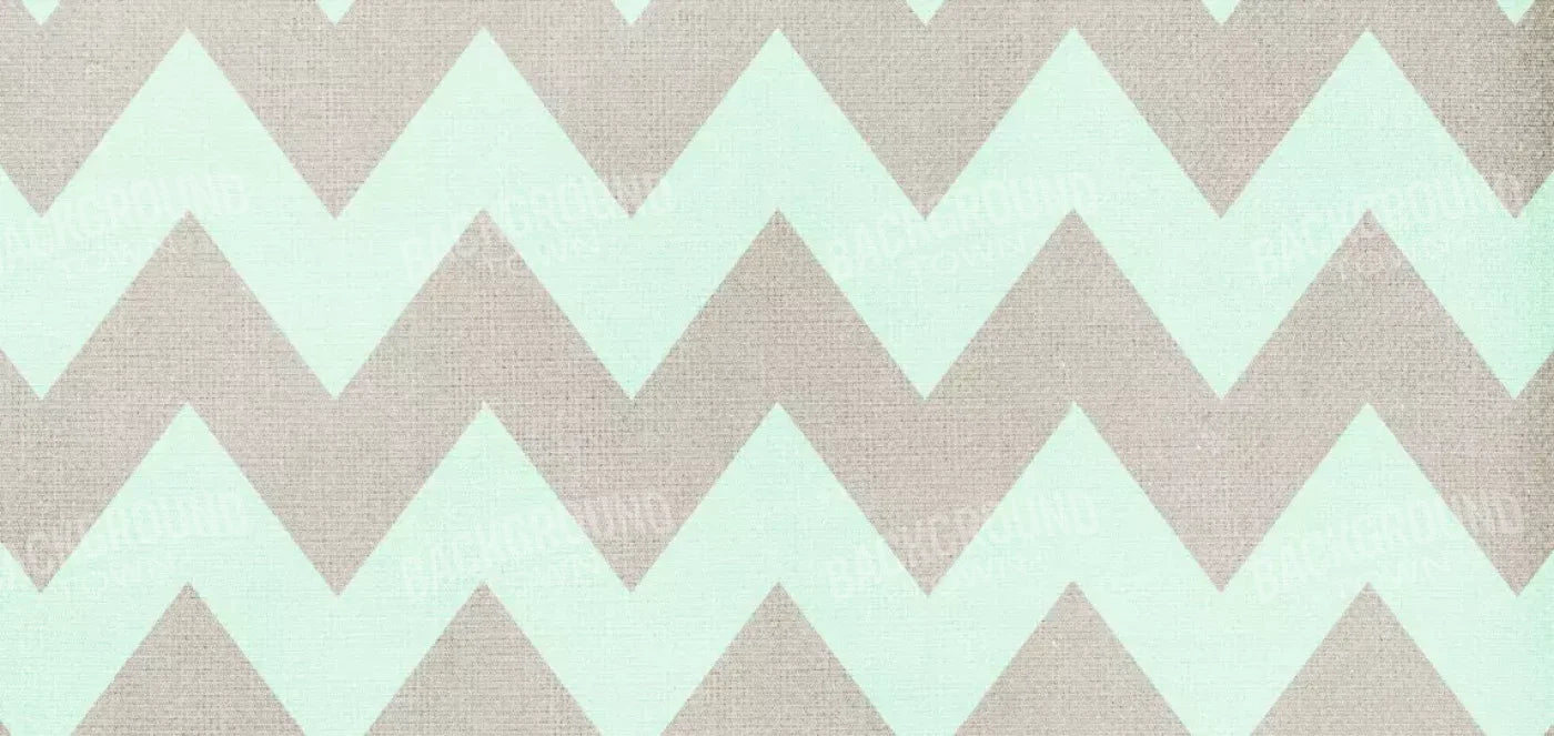 Seth 16X8 Ultracloth ( 192 X 96 Inch ) Backdrop