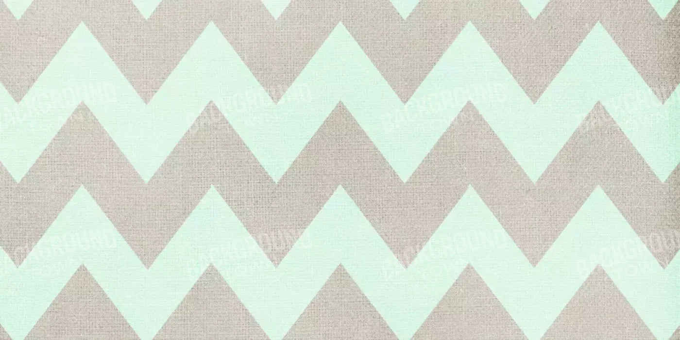 Seth 20X10 Ultracloth ( 240 X 120 Inch ) Backdrop