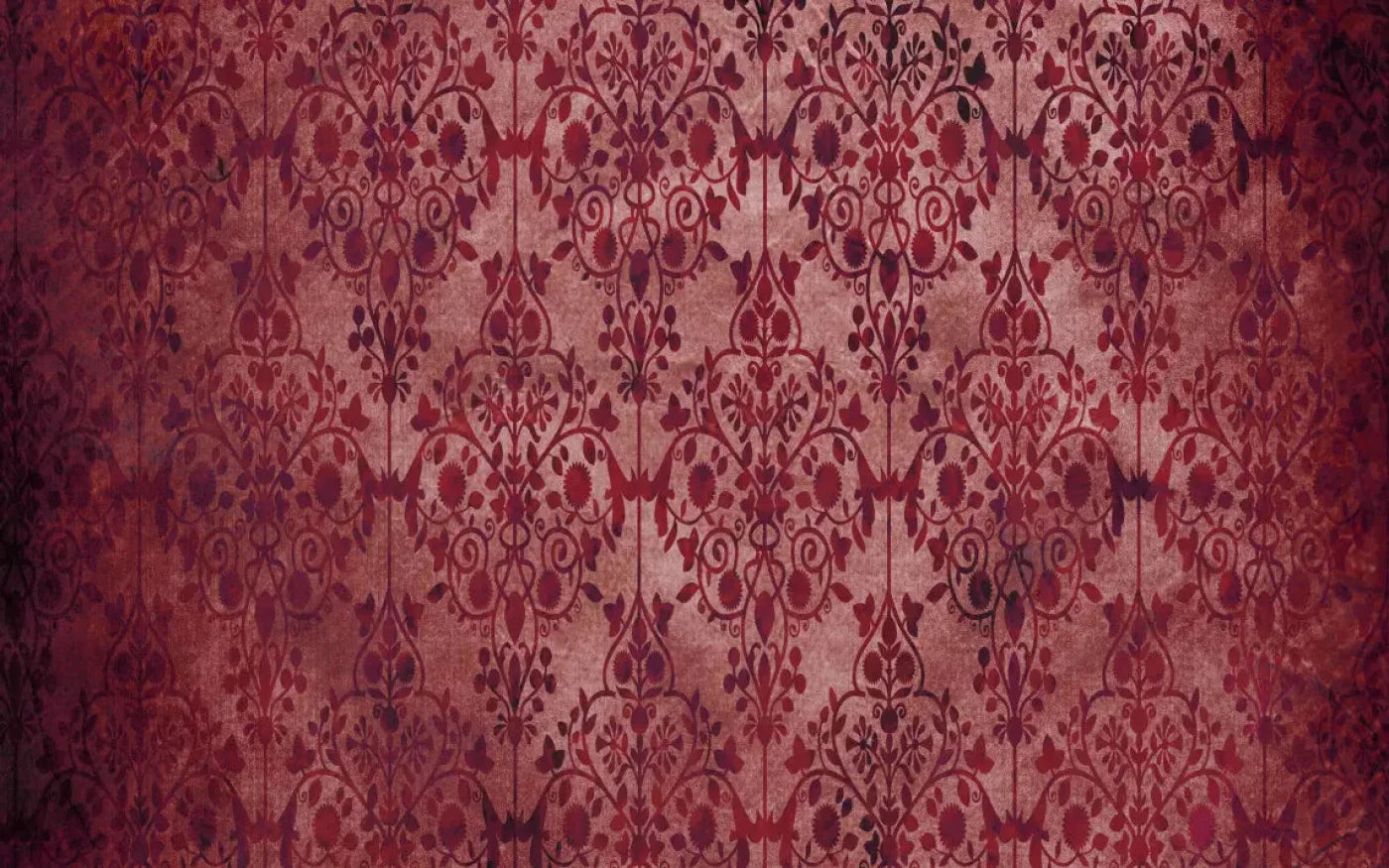Shabby Red 14X9 Ultracloth ( 168 X 108 Inch ) Backdrop