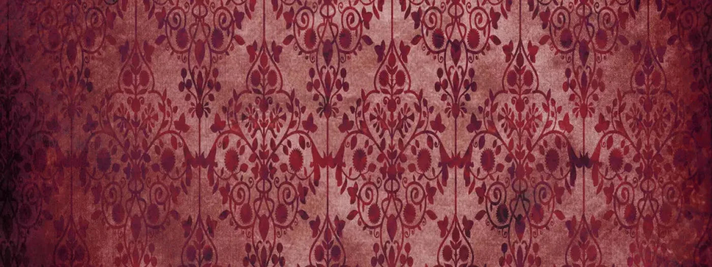 Shabby Red 20X8 Ultracloth ( 240 X 96 Inch ) Backdrop