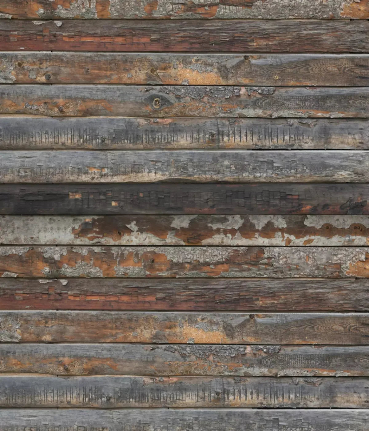 Shack 10X12 Ultracloth ( 120 X 144 Inch ) Backdrop