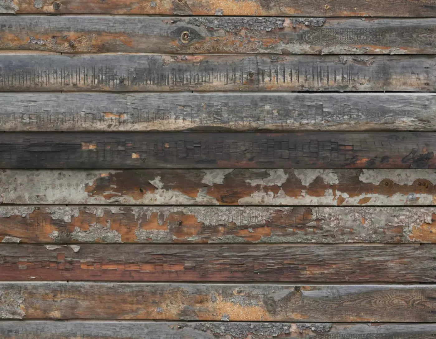 Shack 8X6 Fleece ( 96 X 72 Inch ) Backdrop