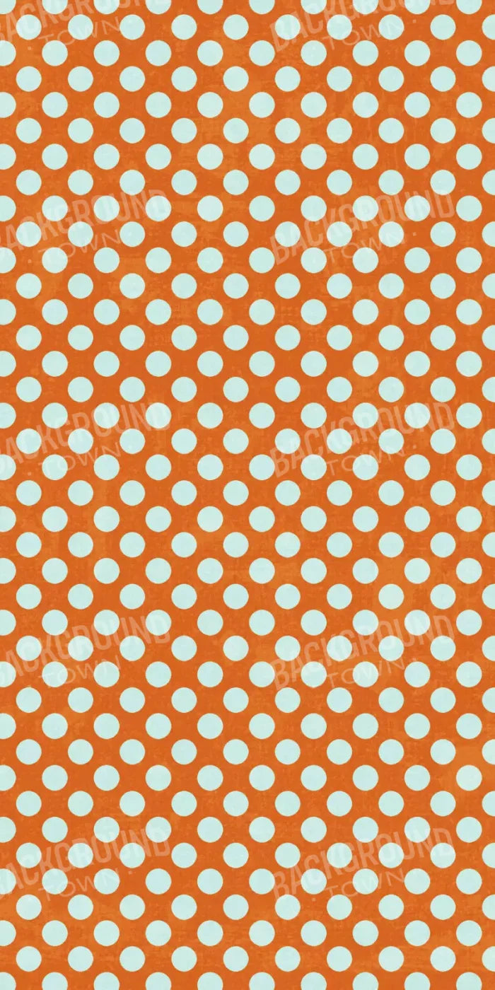 Shaw 10X20 Ultracloth ( 120 X 240 Inch ) Backdrop