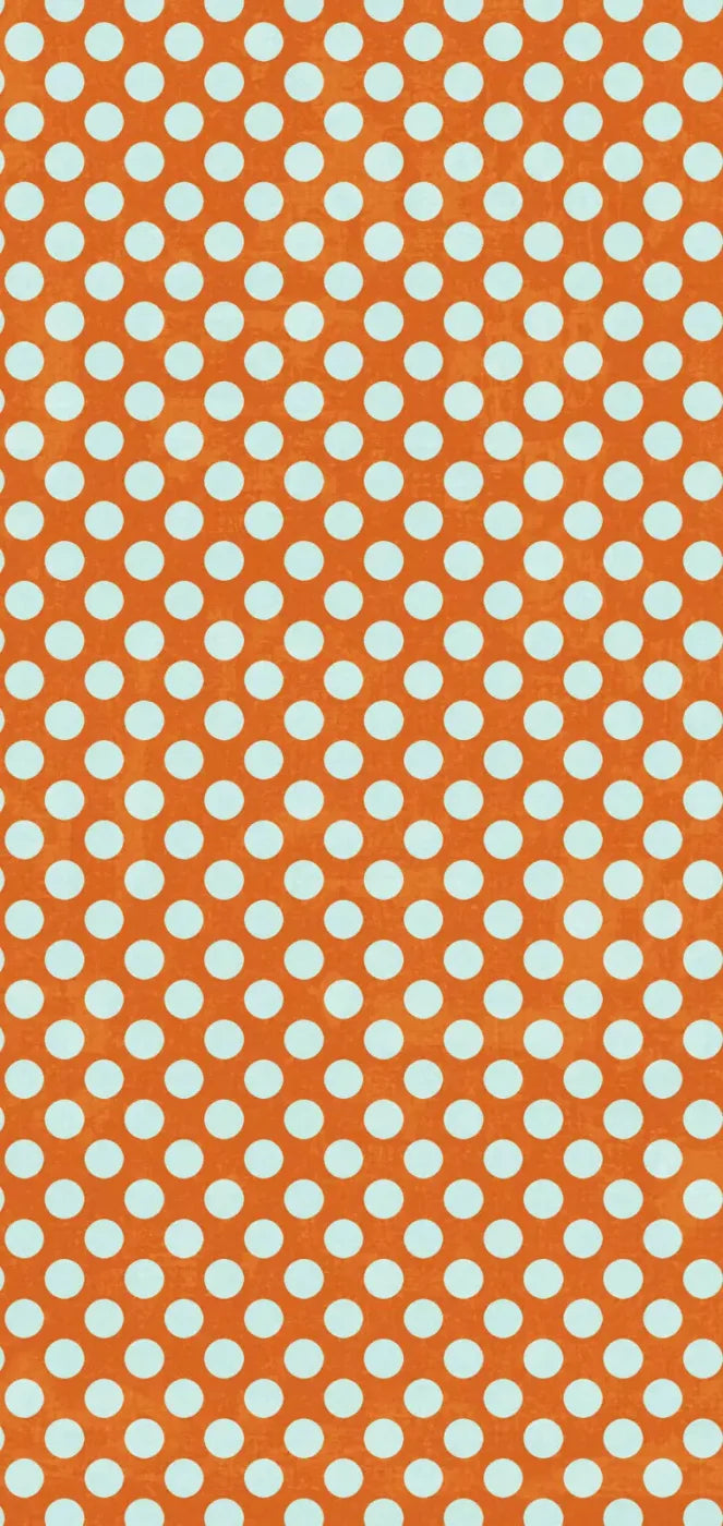 Shaw 8X16 Ultracloth ( 96 X 192 Inch ) Backdrop