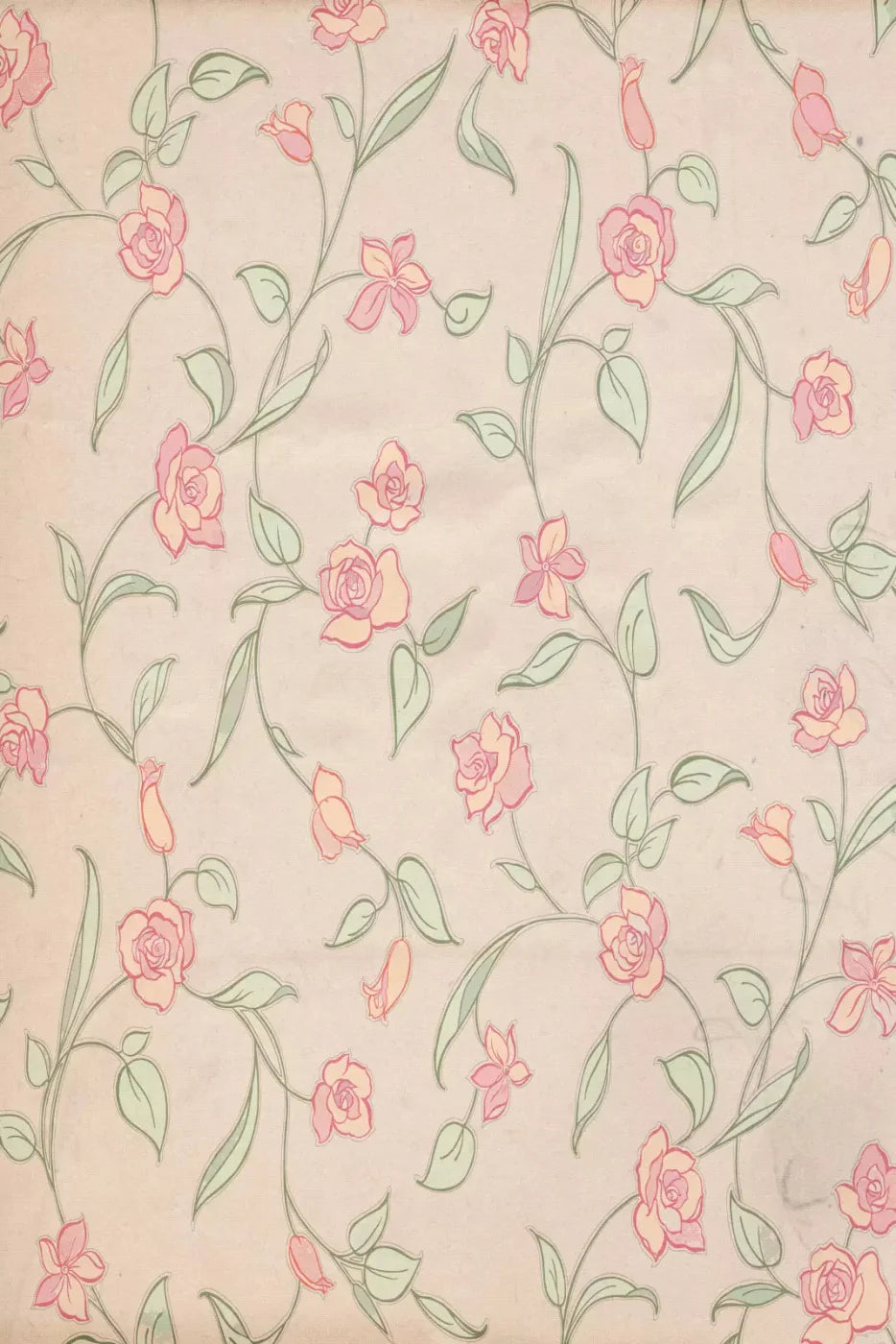 Shayla Backdrop