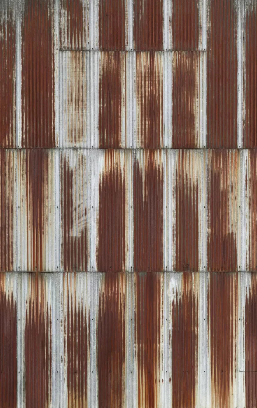 Shed 10X16 Ultracloth ( 120 X 192 Inch ) Backdrop