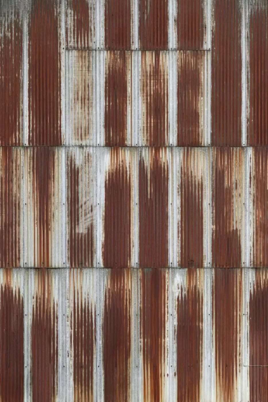 Shed Backdrop