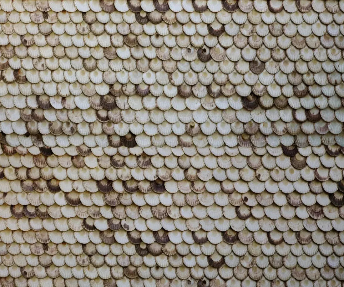 Shelley 5X42 Fleece ( 60 X 50 Inch ) Backdrop