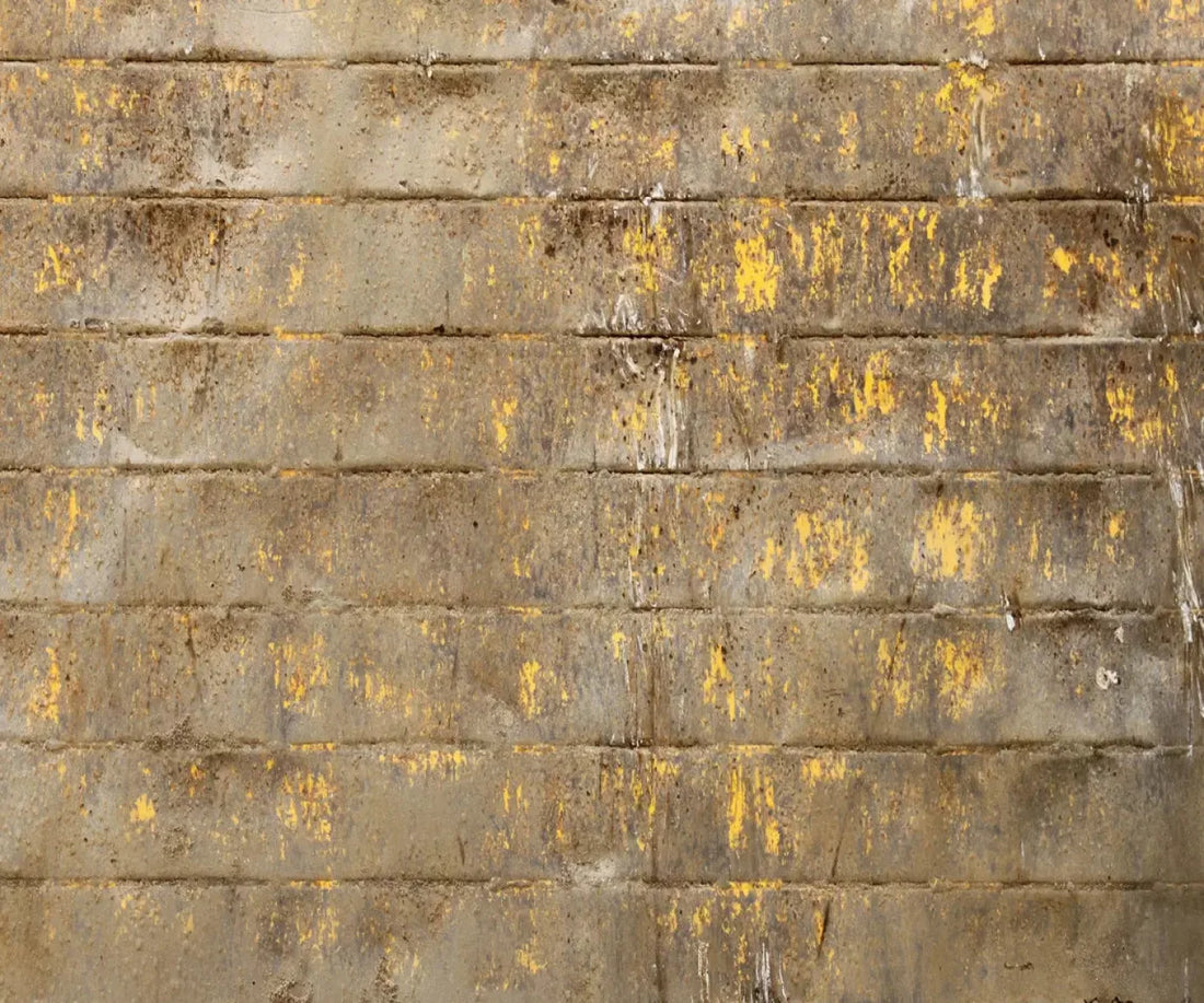 Shelter 5X42 Fleece ( 60 X 50 Inch ) Backdrop