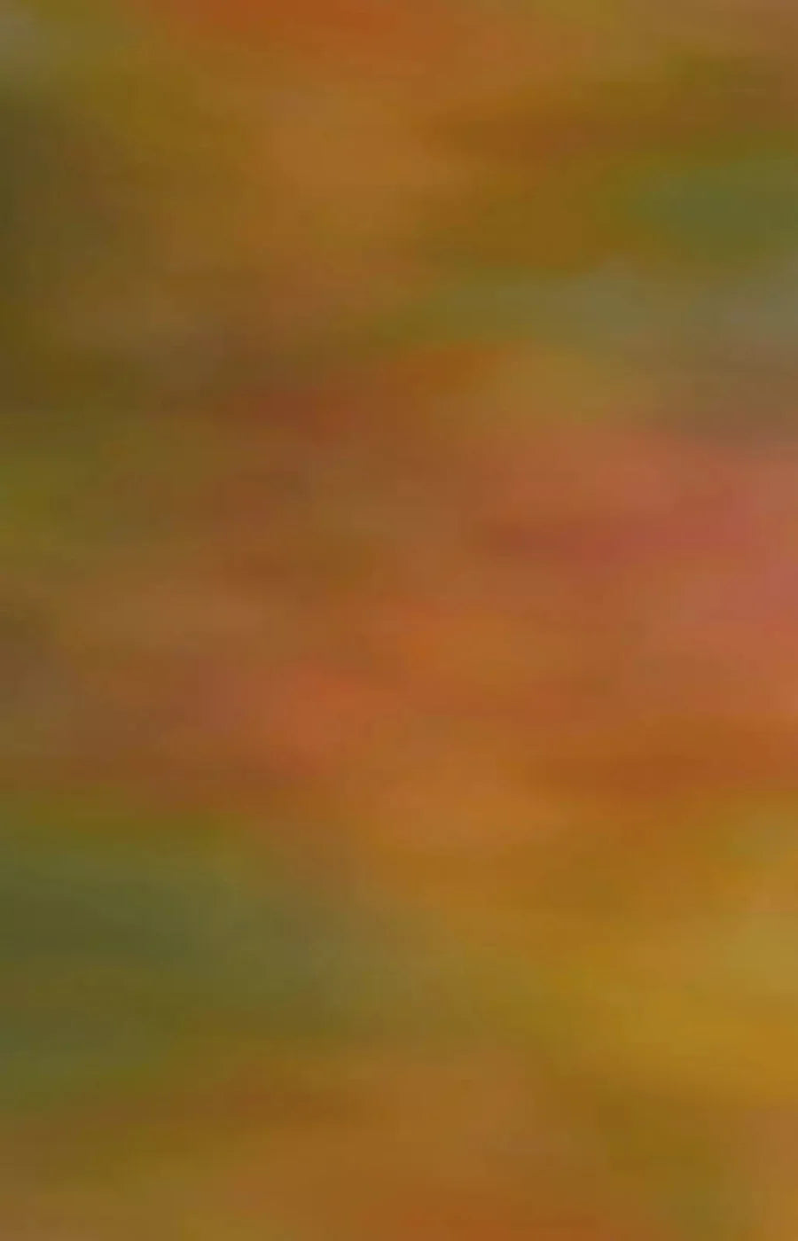 Sherbet 8X12 Ultracloth ( 96 X 144 Inch ) Backdrop