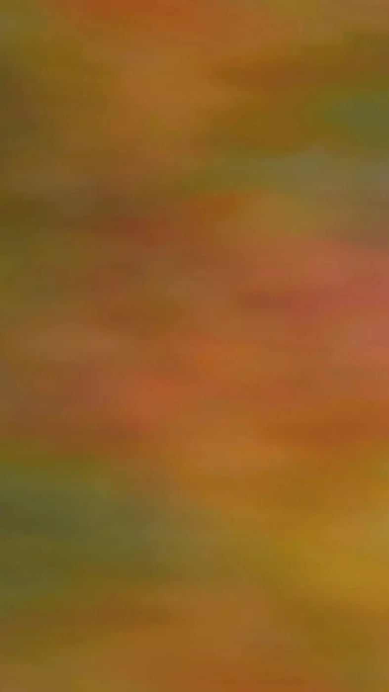Sherbet 8X14 Ultracloth ( 96 X 168 Inch ) Backdrop