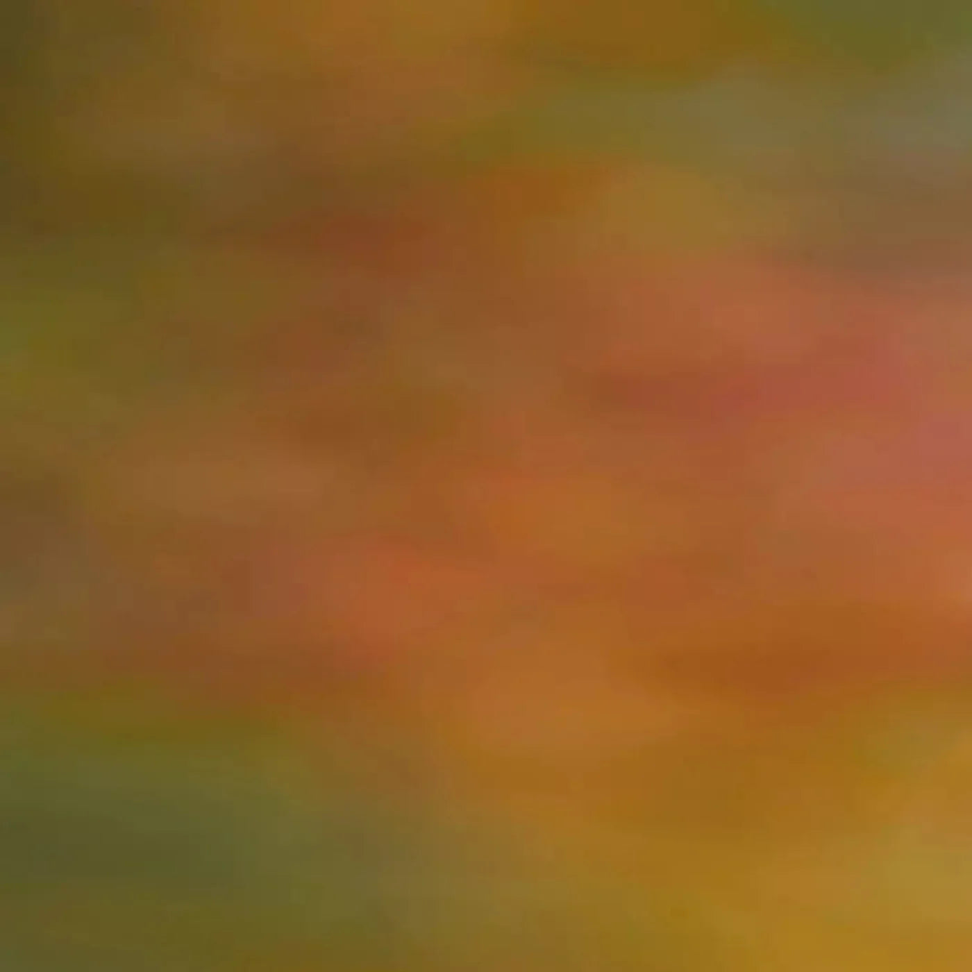 Sherbet 8X8 Fleece ( 96 X Inch ) Backdrop