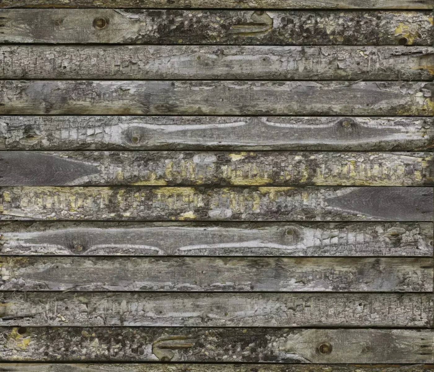 Shipmate 12X10 Ultracloth ( 144 X 120 Inch ) Backdrop