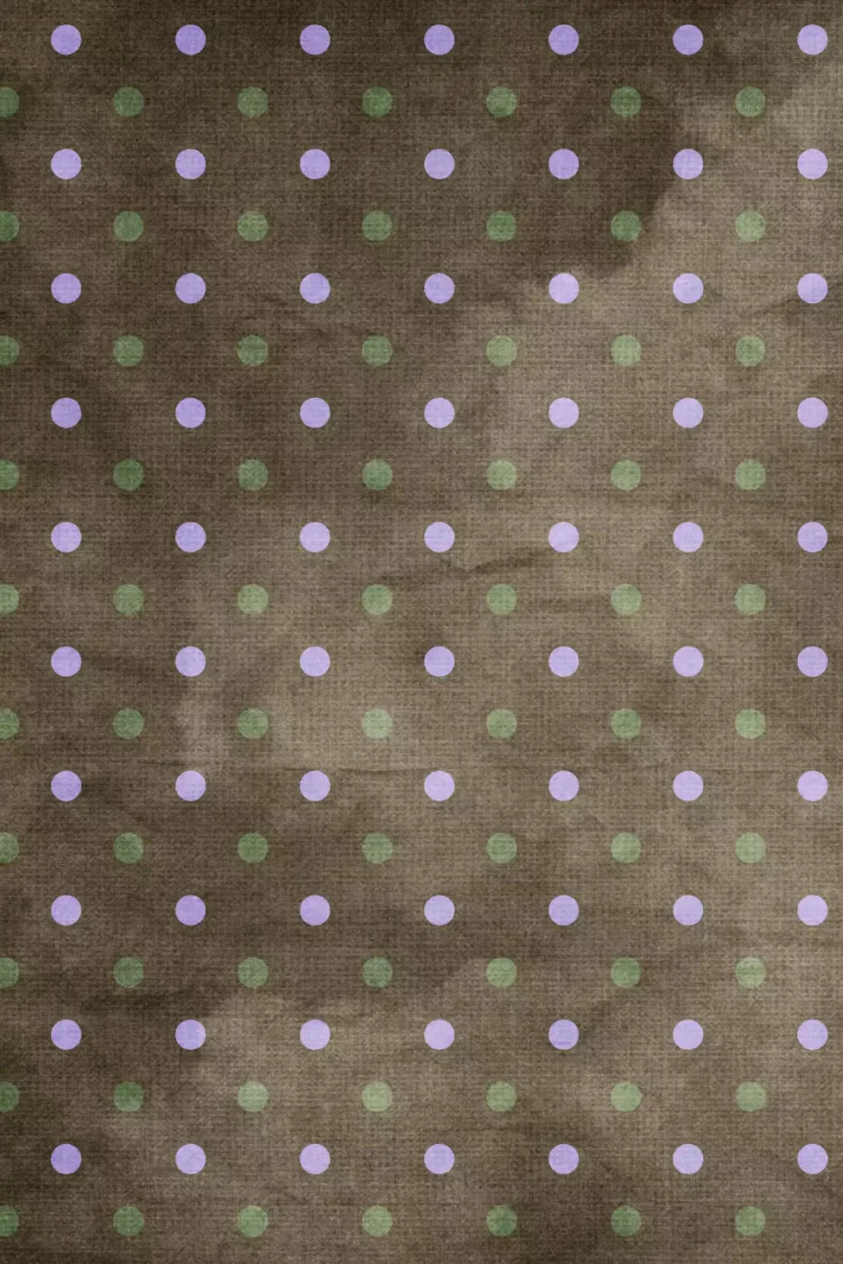 Shultz Backdrop
