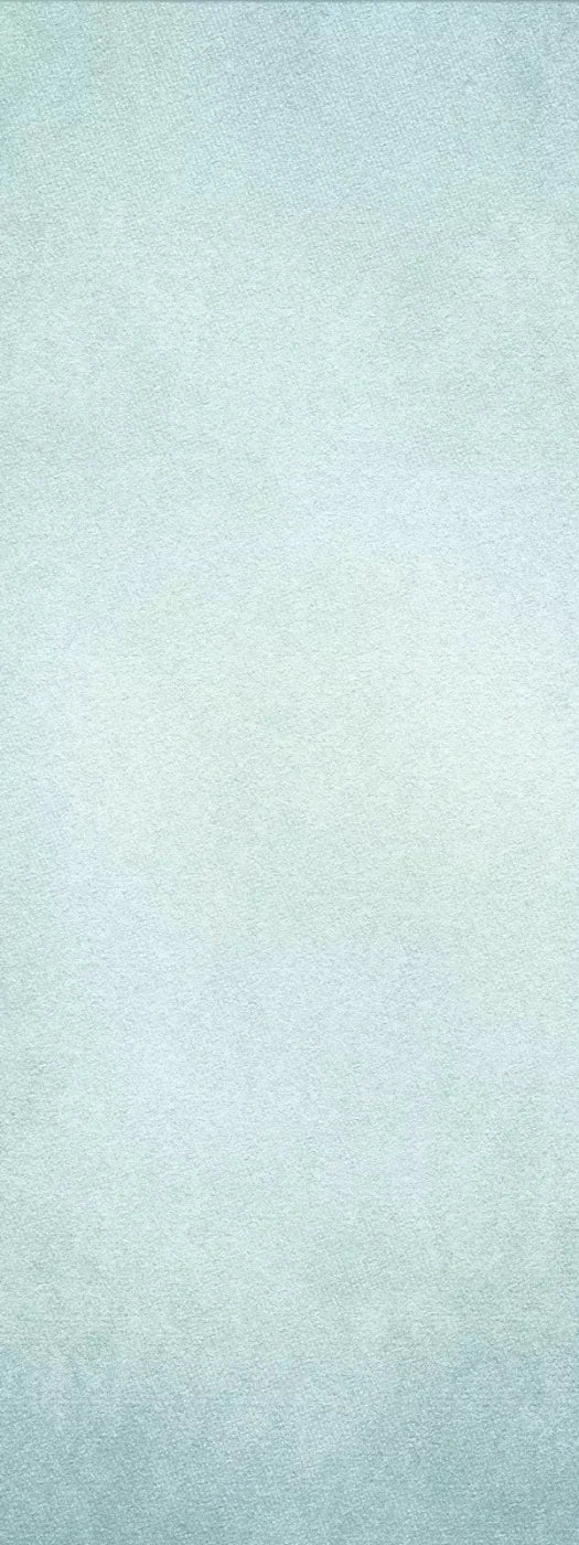 Simeon 8X20 Ultracloth ( 96 X 240 Inch ) Backdrop