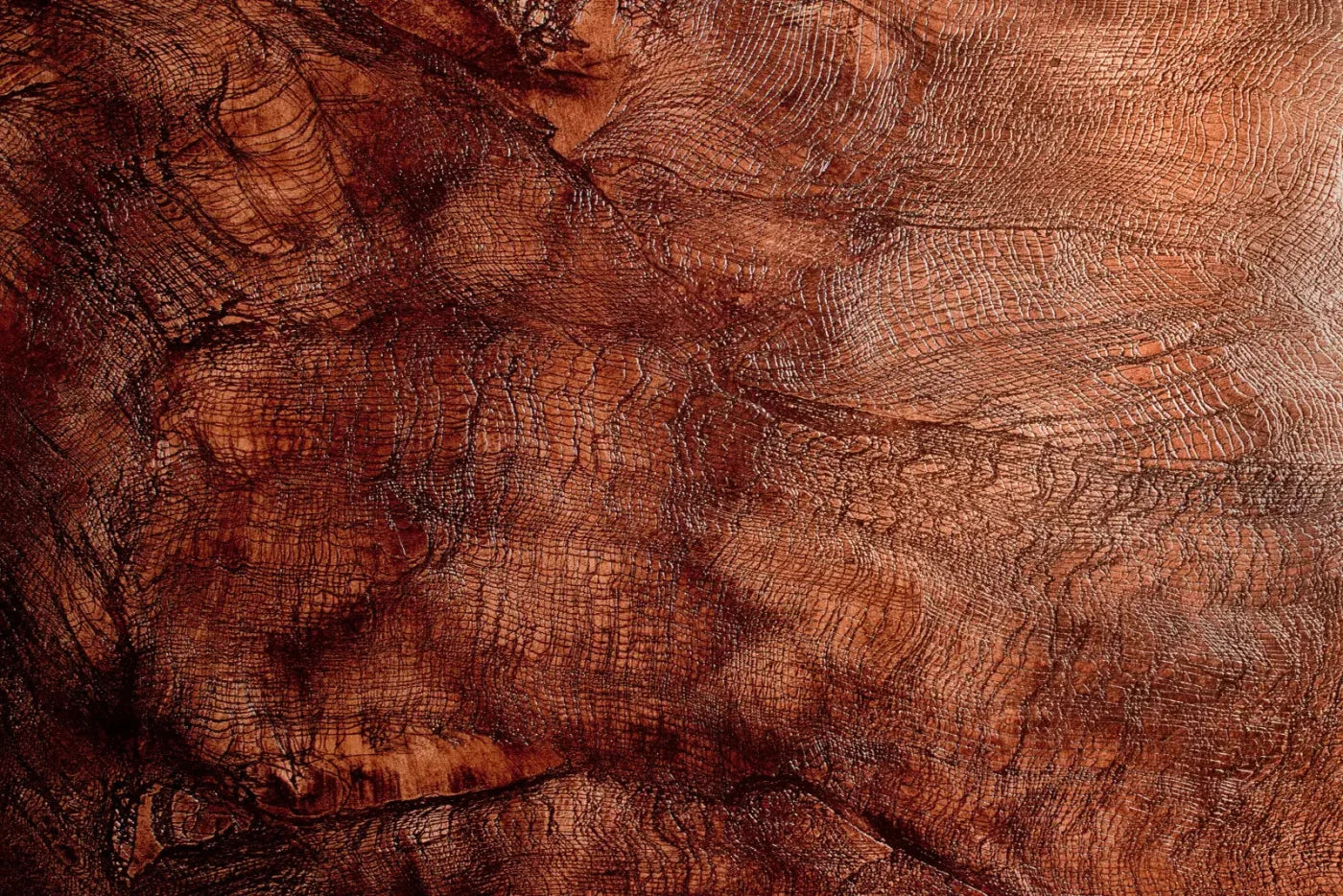 Snake Skin 8X5 Ultracloth ( 96 X 60 Inch ) Backdrop