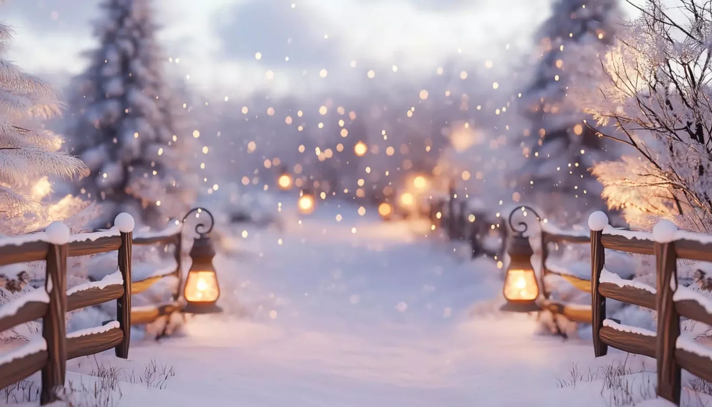 Snow Covered Path With Lanterns 14’X8’ Ultracloth (168 X 96 Inch) Backdrop