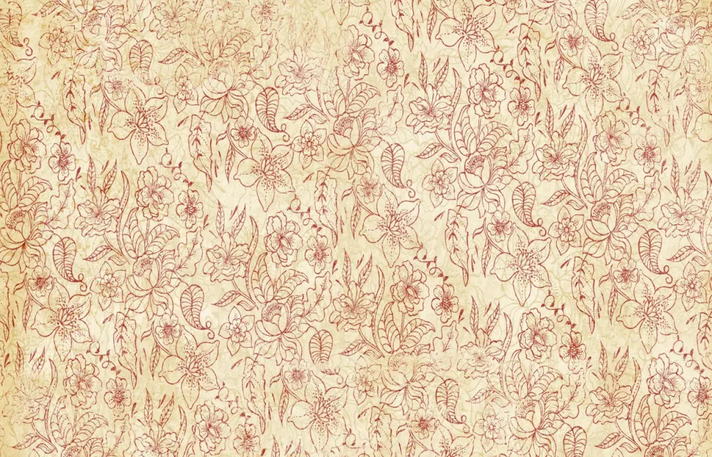 Sonia 12X8 Ultracloth ( 144 X 96 Inch ) Backdrop