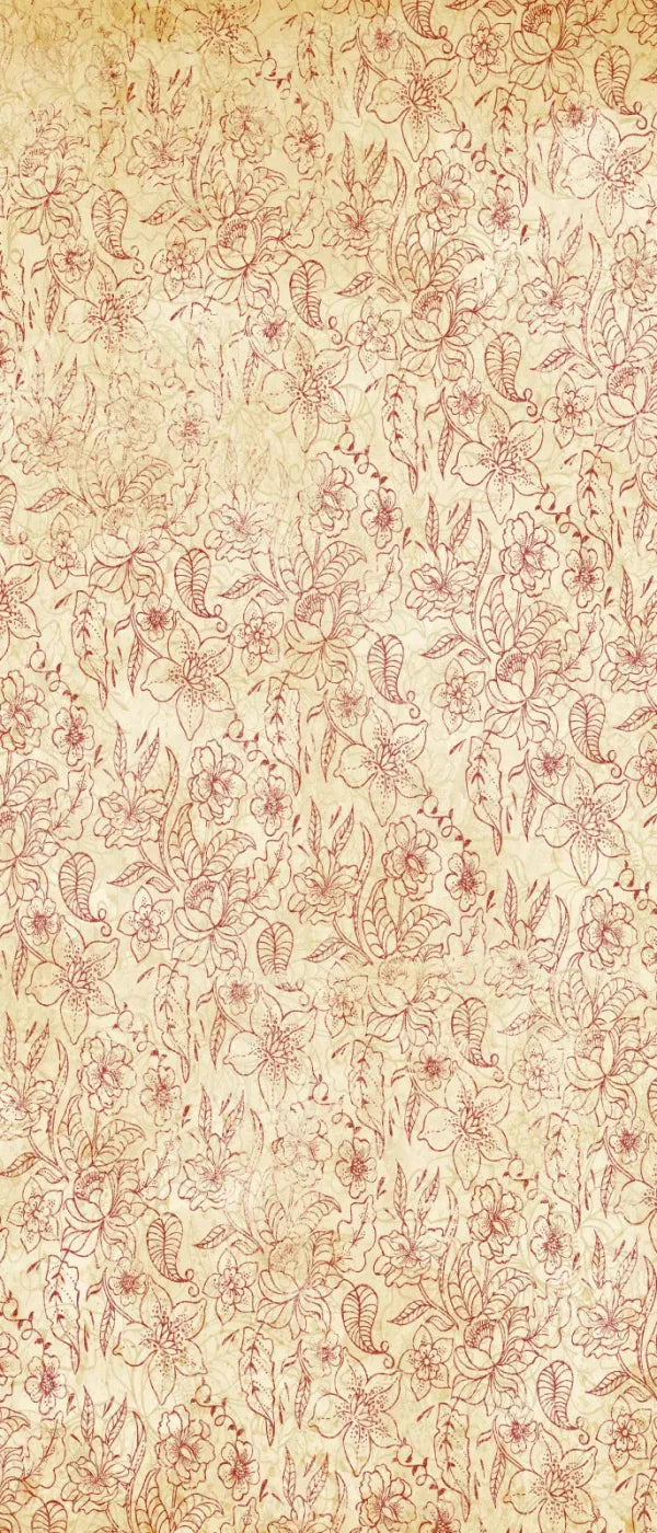 Sonia 5X12 Ultracloth For Westcott X-Drop ( 60 X 144 Inch ) Backdrop