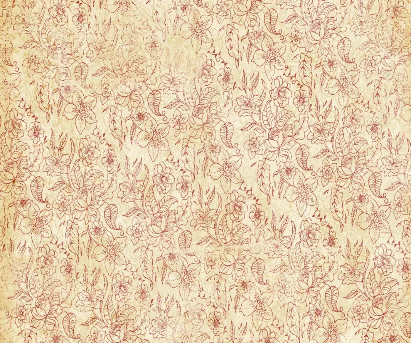 Sonia 5X42 Fleece ( 60 X 50 Inch ) Backdrop