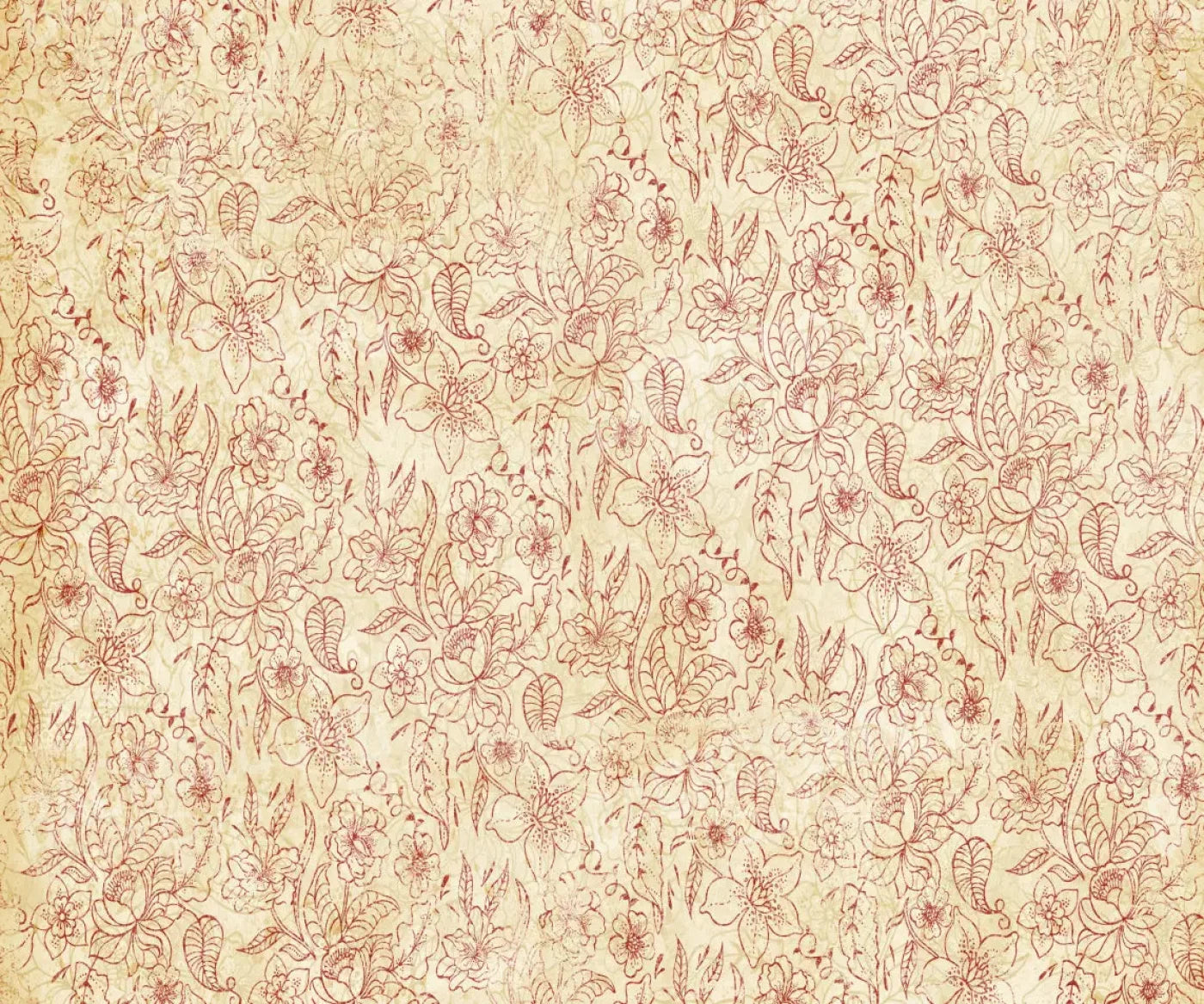 Sonia 5X42 Fleece ( 60 X 50 Inch ) Backdrop